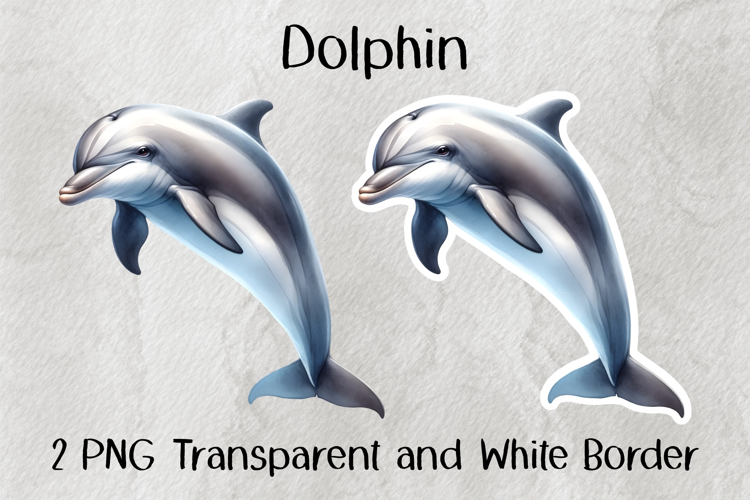 Dolphin PNG