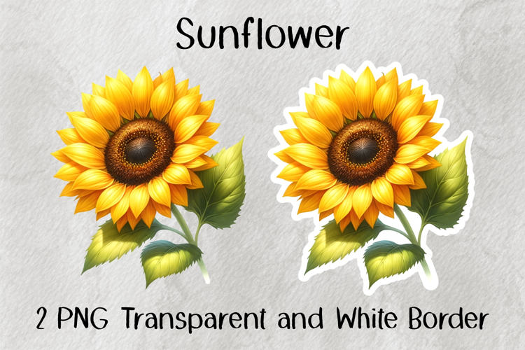 Sunflower PNG