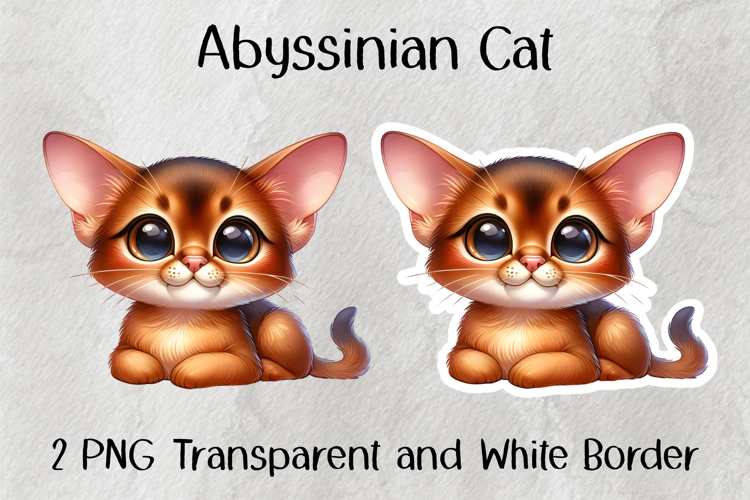 Abyssinian Cat PNG