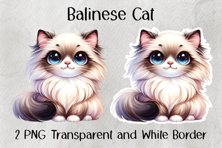 Balinese Cat PNG example image 1
