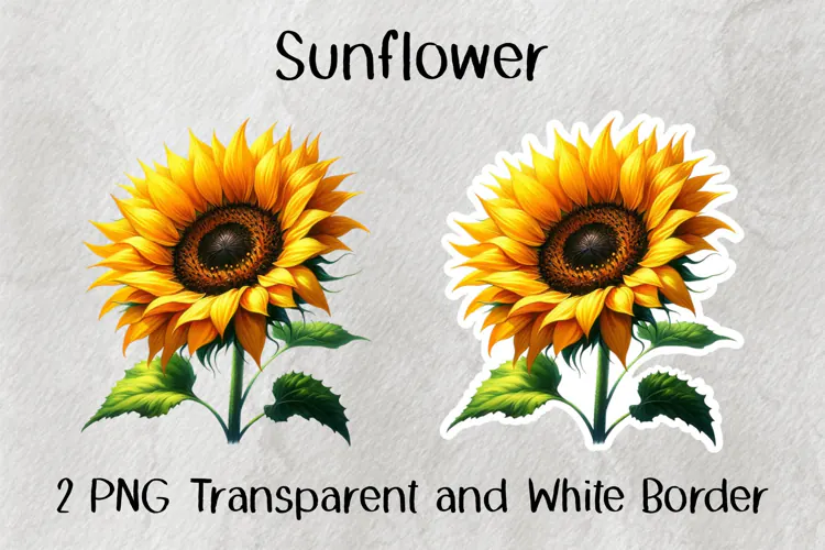 Sunflower PNG