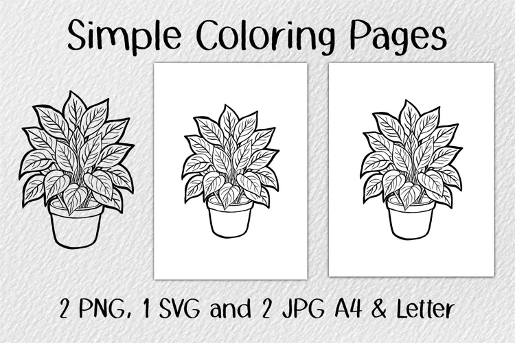 Houseplant Coloring Pages JPG PNG SVG