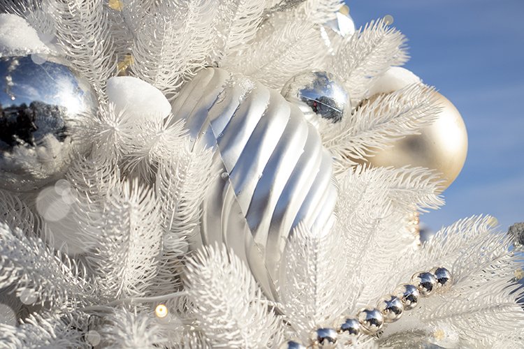 Christmas tree with white balls under the snow (2398749)