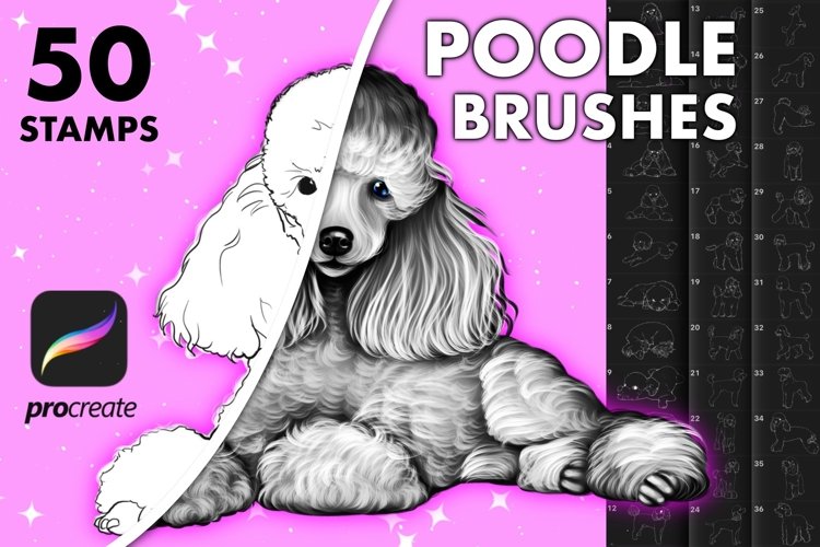 Procreate dogs poodle animals stamps brushes