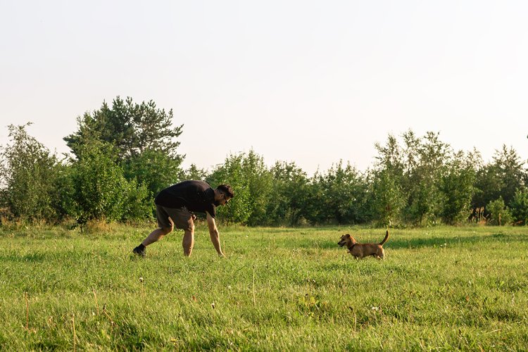 Man is throwing ball to his little happy dog.