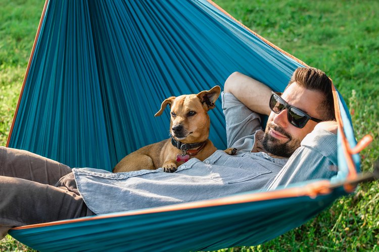dog hammock with shade