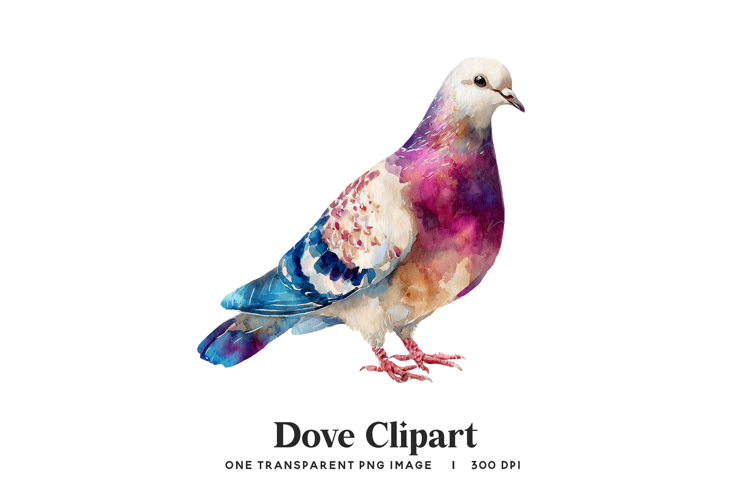 Watercolor Dove Clipart PNG - Vibrant Purple Bird Art