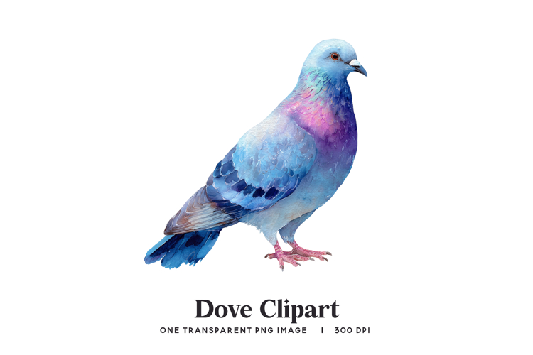 Watercolor Dove Clipart PNG - Blue and Pink Bird Image