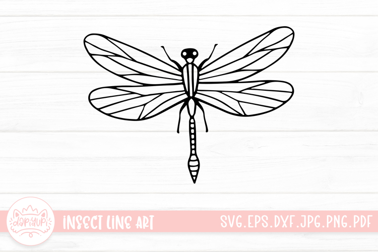 Insect Illustration Image 3