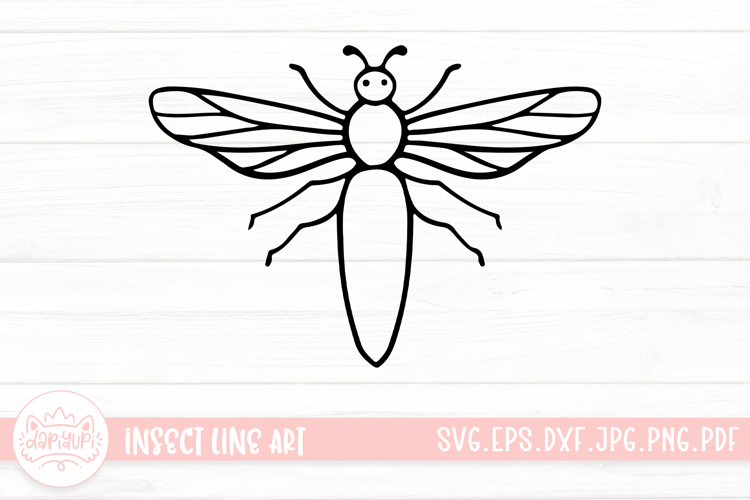 Insect Illustration Image 11