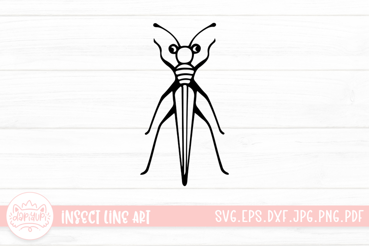 Insect Illustration Image 19