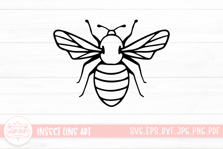 Insect Illustration Image 20