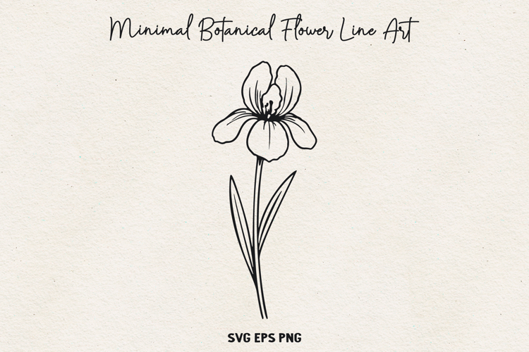 Minimal Botanical Flower SVG, Thin Line Floral Outline, PNG.