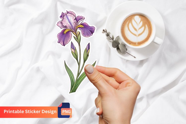 Iris Clipart Image 18