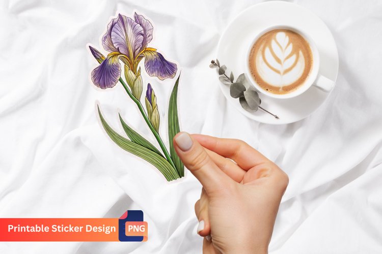 Iris Clipart Image 19