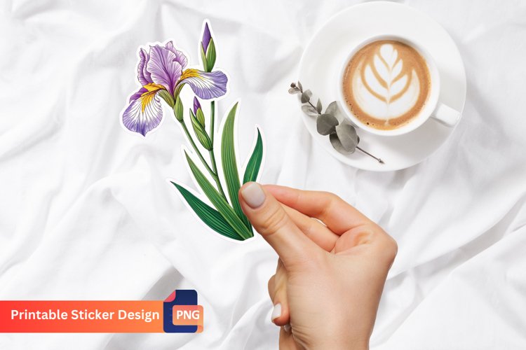 Iris Clipart Image 16