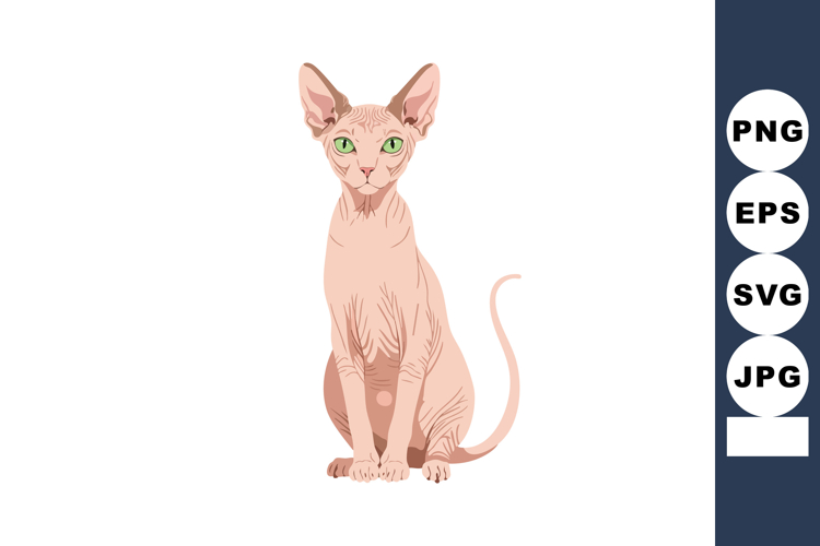 Eyes Clipart Image 23