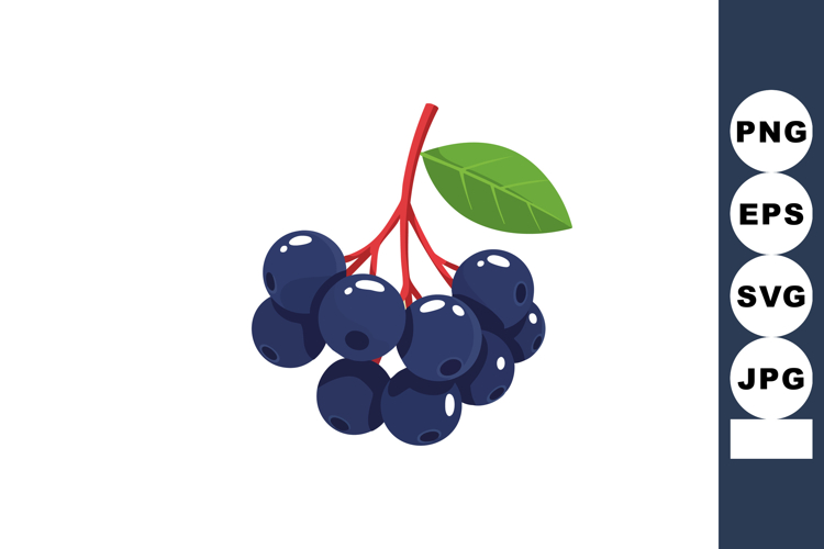 Blueberry Clipart Image 4