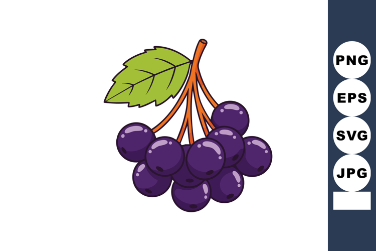 Leaf Vector Image 17