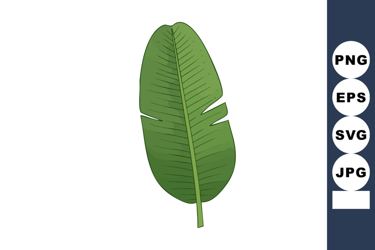 Banana Clipart