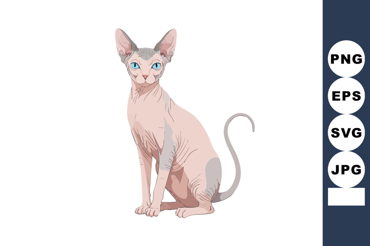Eyes Clipart Image 8