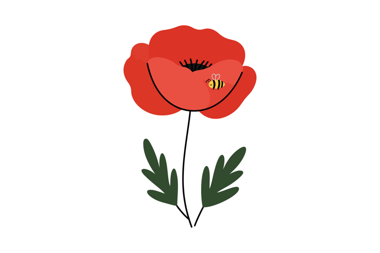 Poppy Clipart Image 24