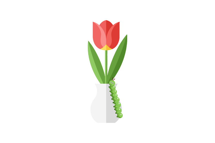 Tulip Illustration Image 20