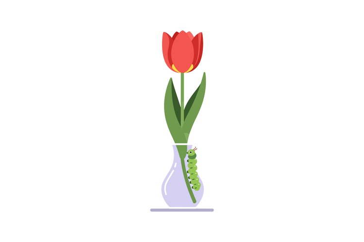 Flower Vector Image 12
