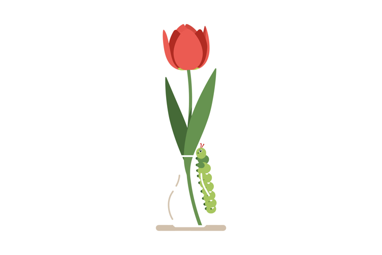 Flower Vase Clipart Image 9