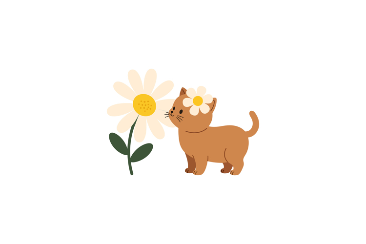Cute brown cat with flower crown beside a large daisy in fla