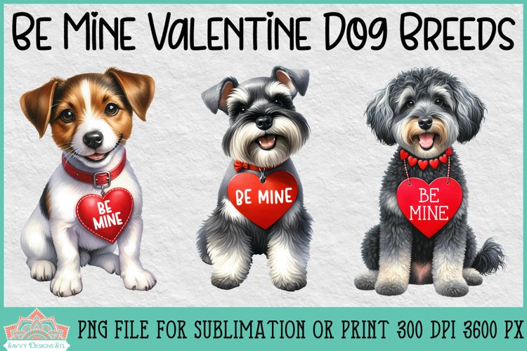 Valentines PNG Image 5