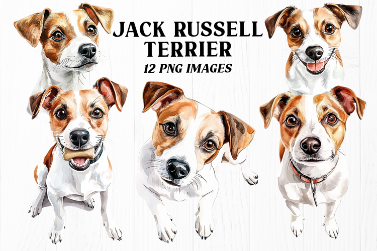 Jack Russell Terrier PNG, 12 Watercolor Dog Clipart Images