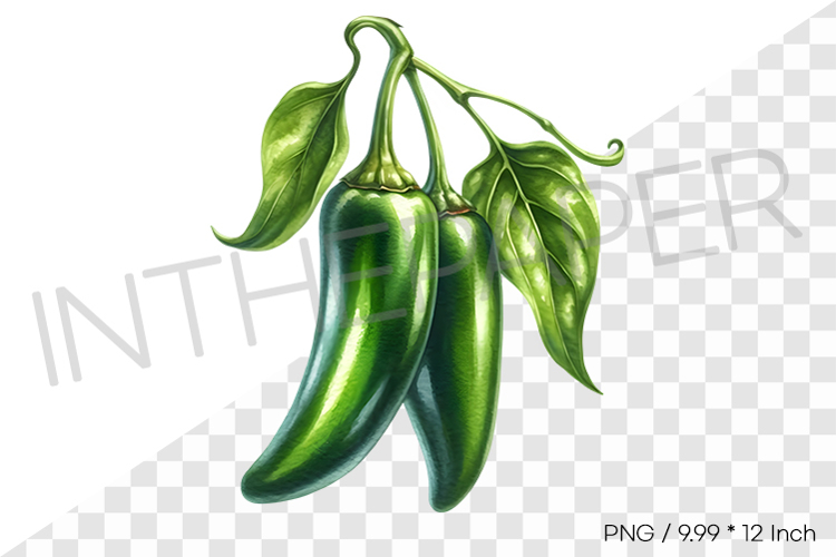Chili Clipart Image 11