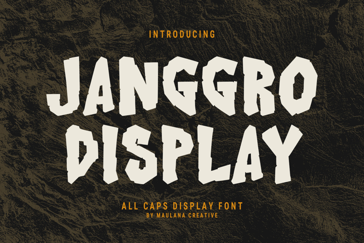 Janggro Display Font