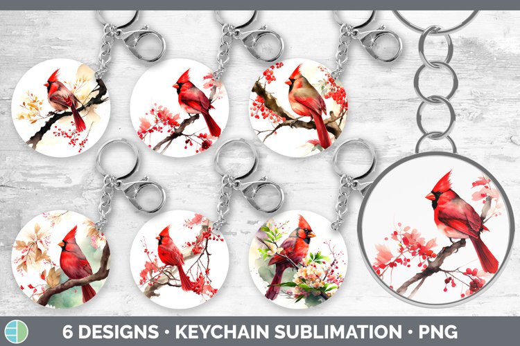 Key Illustration Image 14
