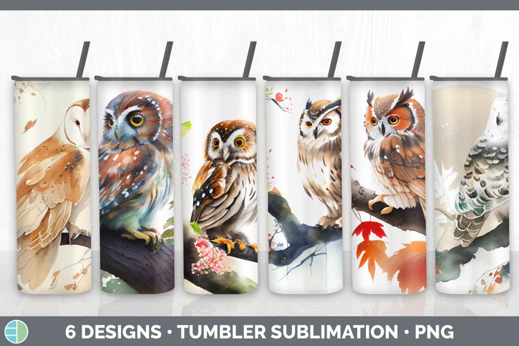 Owl Clipart Image 23