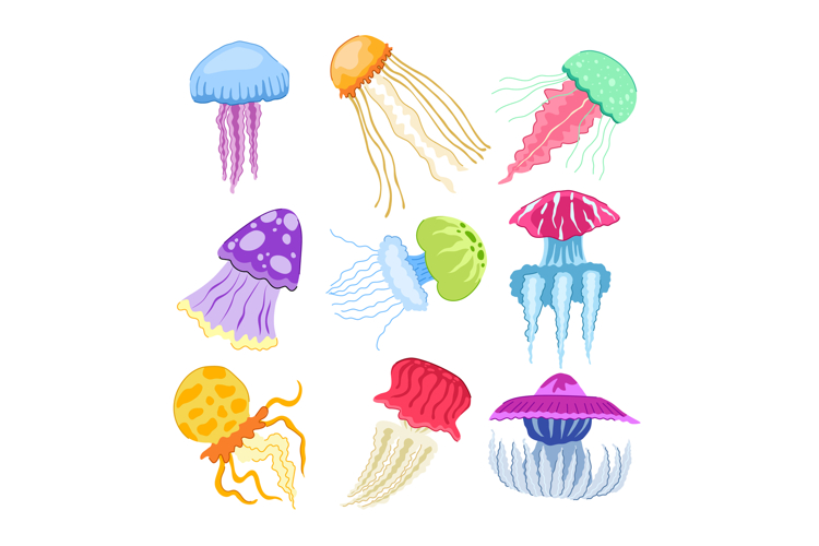 jellyfish set cartoon