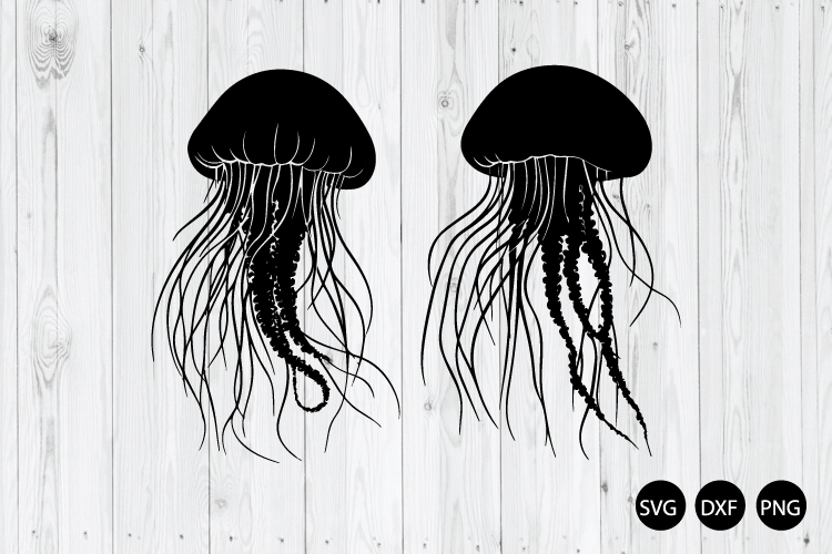 Jellyfish SVG, Sea Animals SVG
