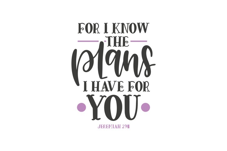 Jeremiah 29:11 example image 1