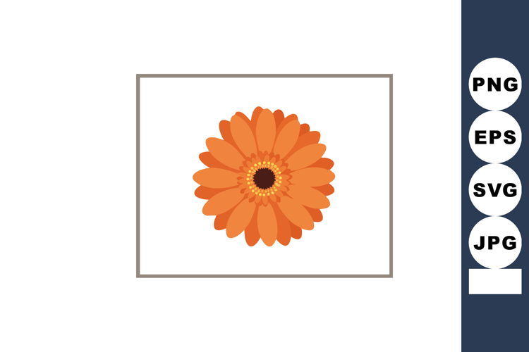Daisy Illustration Image 6