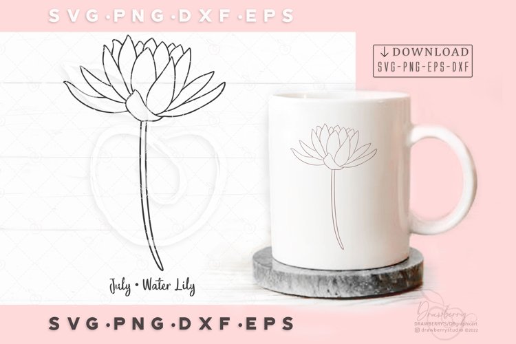 Birth month flower svg july birthday flower water lily sv279