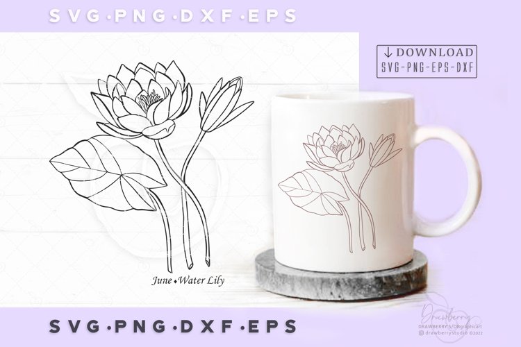 July Birth Month Flower Svg, Png / Water Lily Lotus SV291