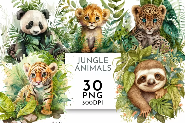 Jungle Animals | Watercolour Clipart PNG