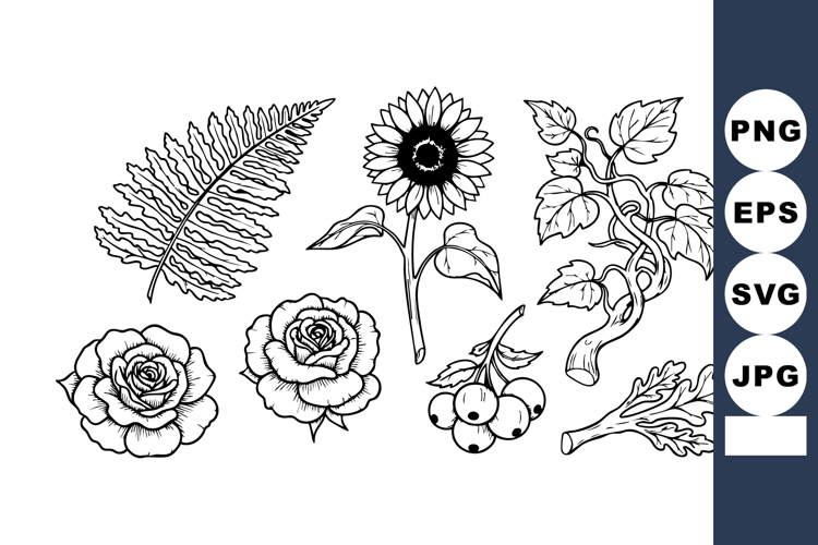 Sunflower Black And White Clipart