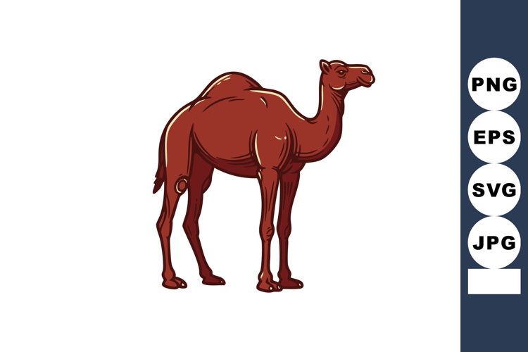 Cute Animal Clipart Image 18