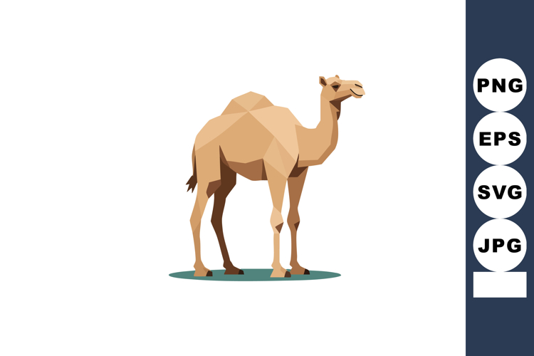 Desert Illustration Image 14