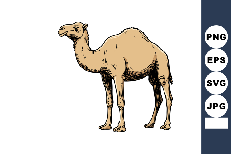 Desert Illustration Image 16