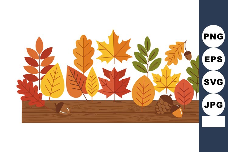 Acorn Vector Image 16