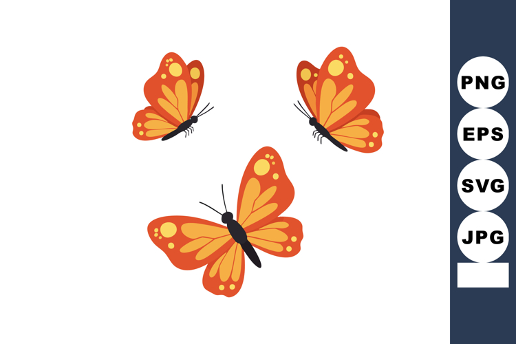 Fly Vector Image 19