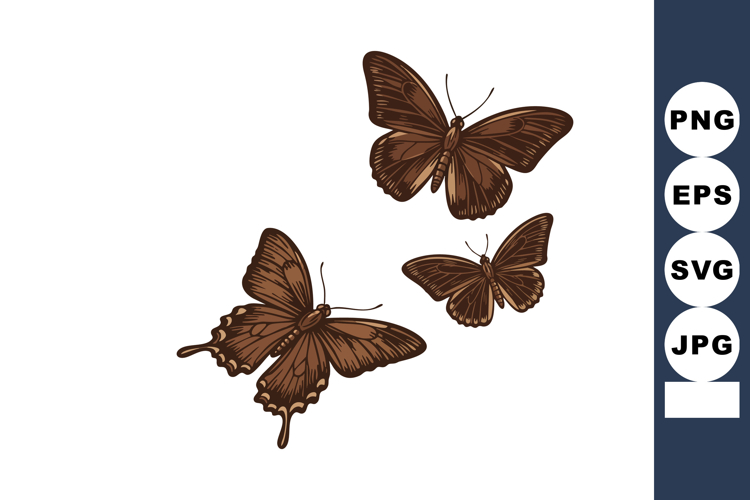 Butterfly Clipart Image 21